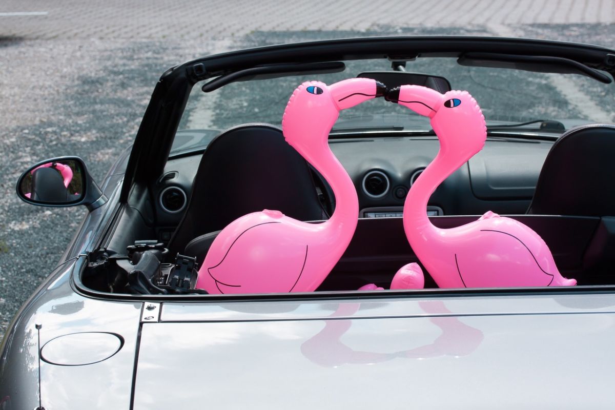 Flamingi flaming