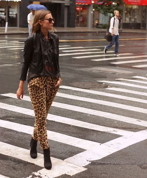 modne spodnie w panterkę